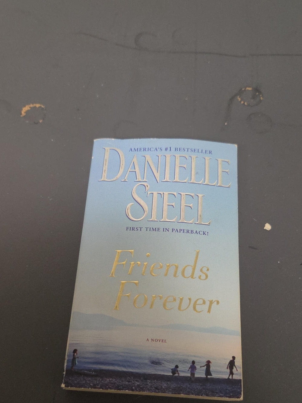 Friends Forever Paperback - Light Blue Cover